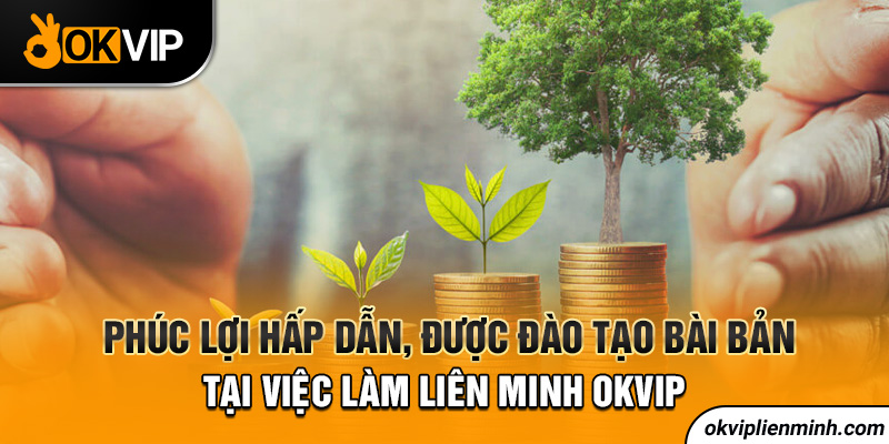 Phúc lợi hấp dẫn, được đào tạo bài bản tại việc làm liên minh OKVIP