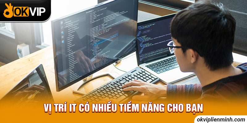 Vị trí IT có nhiều tiềm năng cho bạn