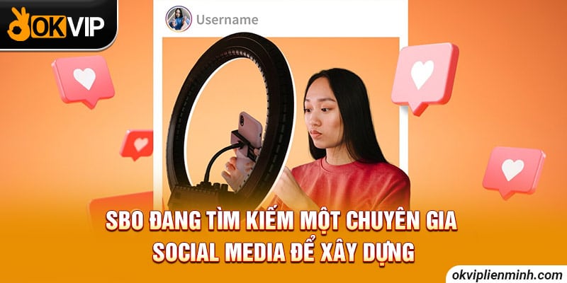 SBO đang tìm kiếm một chuyên gia Social Media để xây dựng