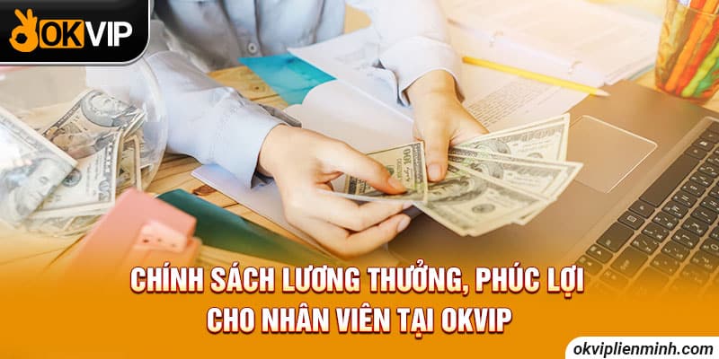 Chính sách lương thưởng, phúc lợi cho nhân viên tại OKVIP